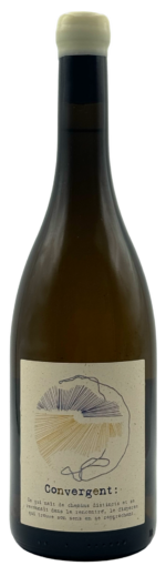 Marina Santos_Convergent